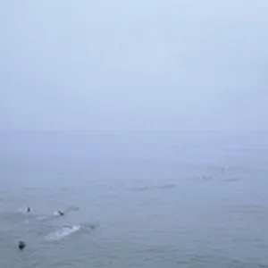 The sky's run into the sea